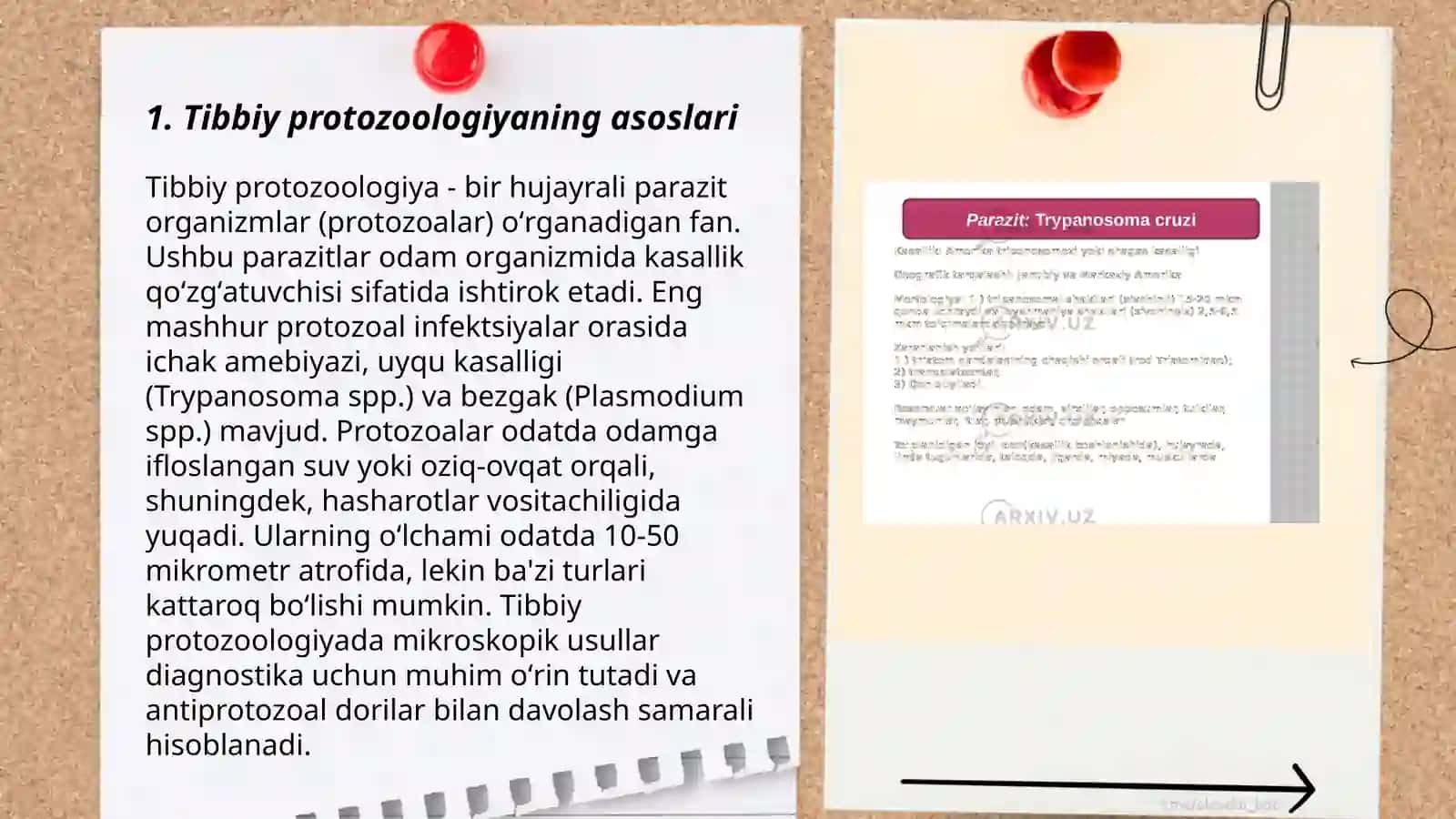 Tibbiy Protozoologiya 3