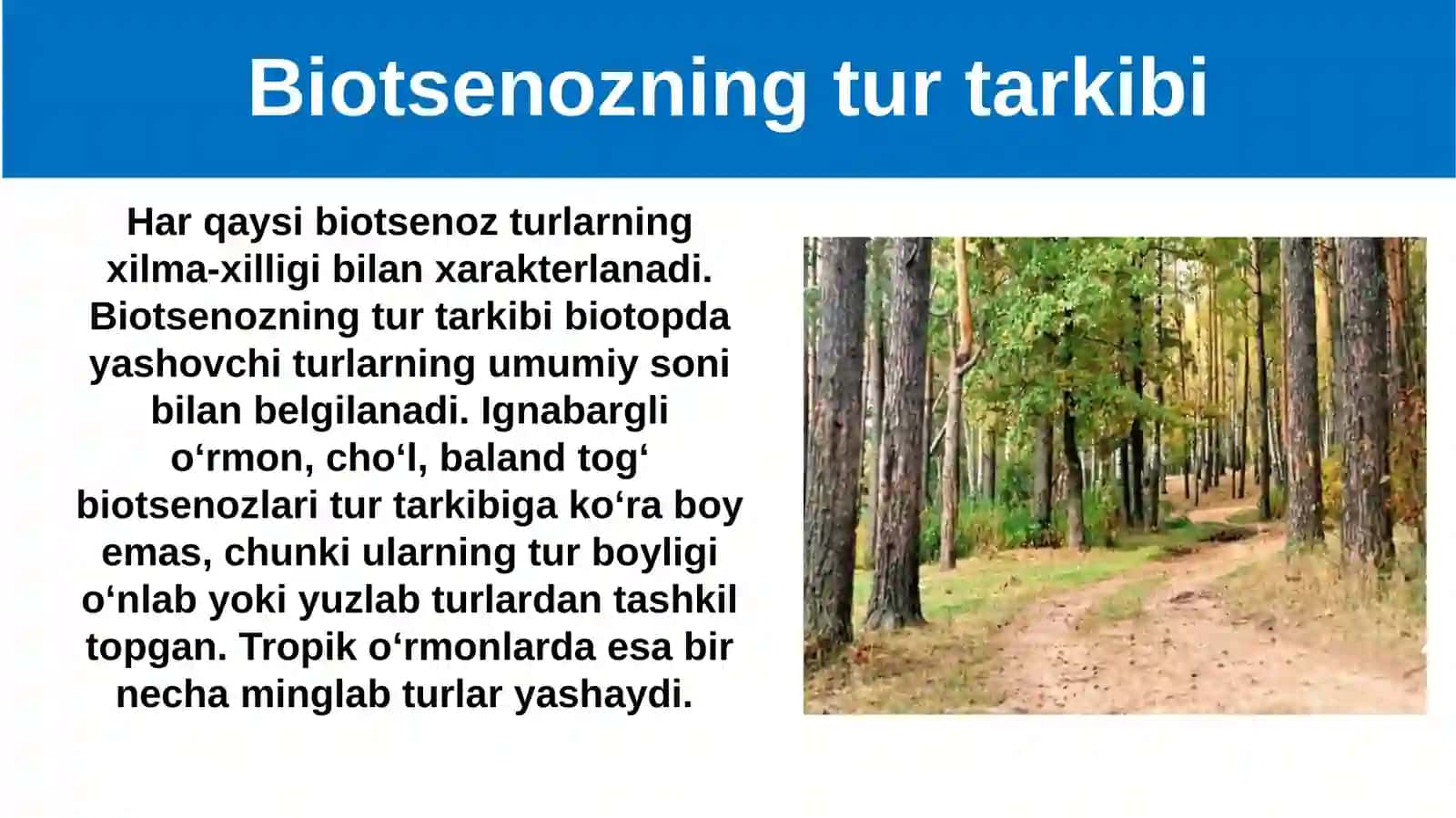 Turning populyatsion strukturasi 3