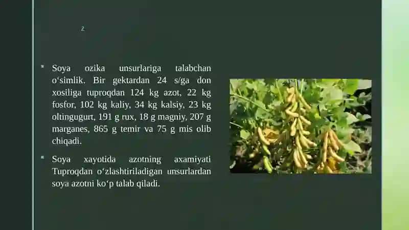 SOYANI OZUQA MODDALARGA BOʻLGAN TALABI 3