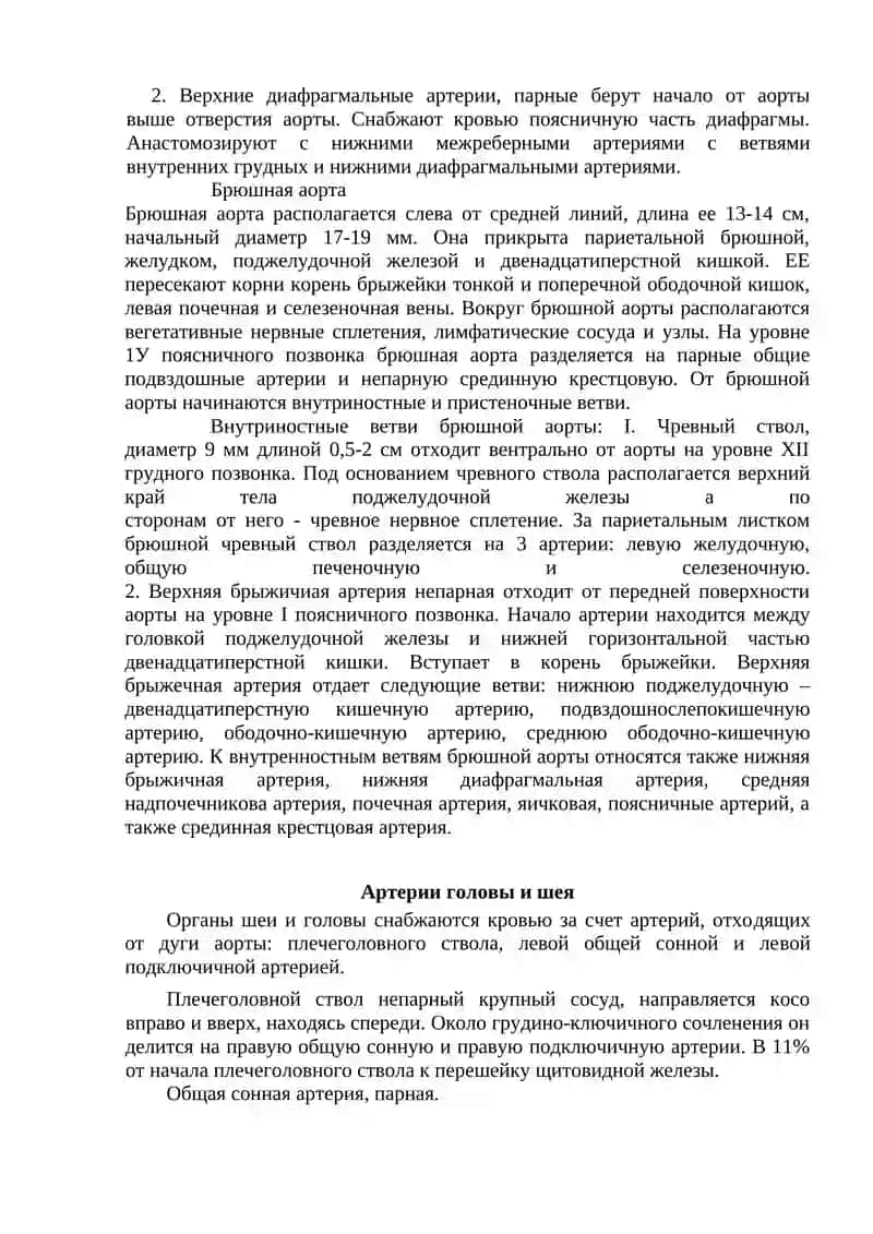 Сосуды малого круга кровообращения 3