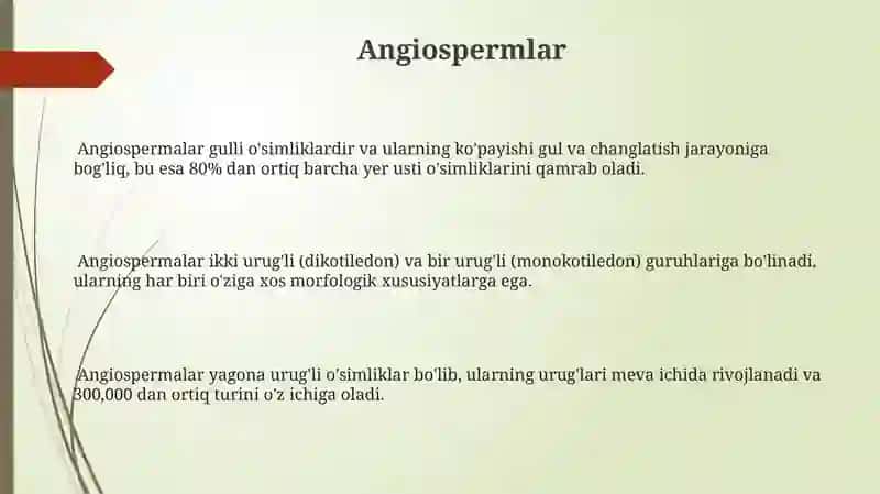 Yopiq urug'li o'simliklar 3