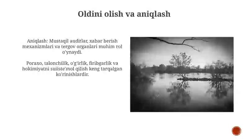 Korrupsiya va uning asosiy ko’rinishlari 3