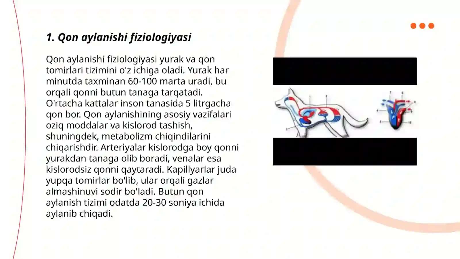 Qon aylanish sistemasi 3