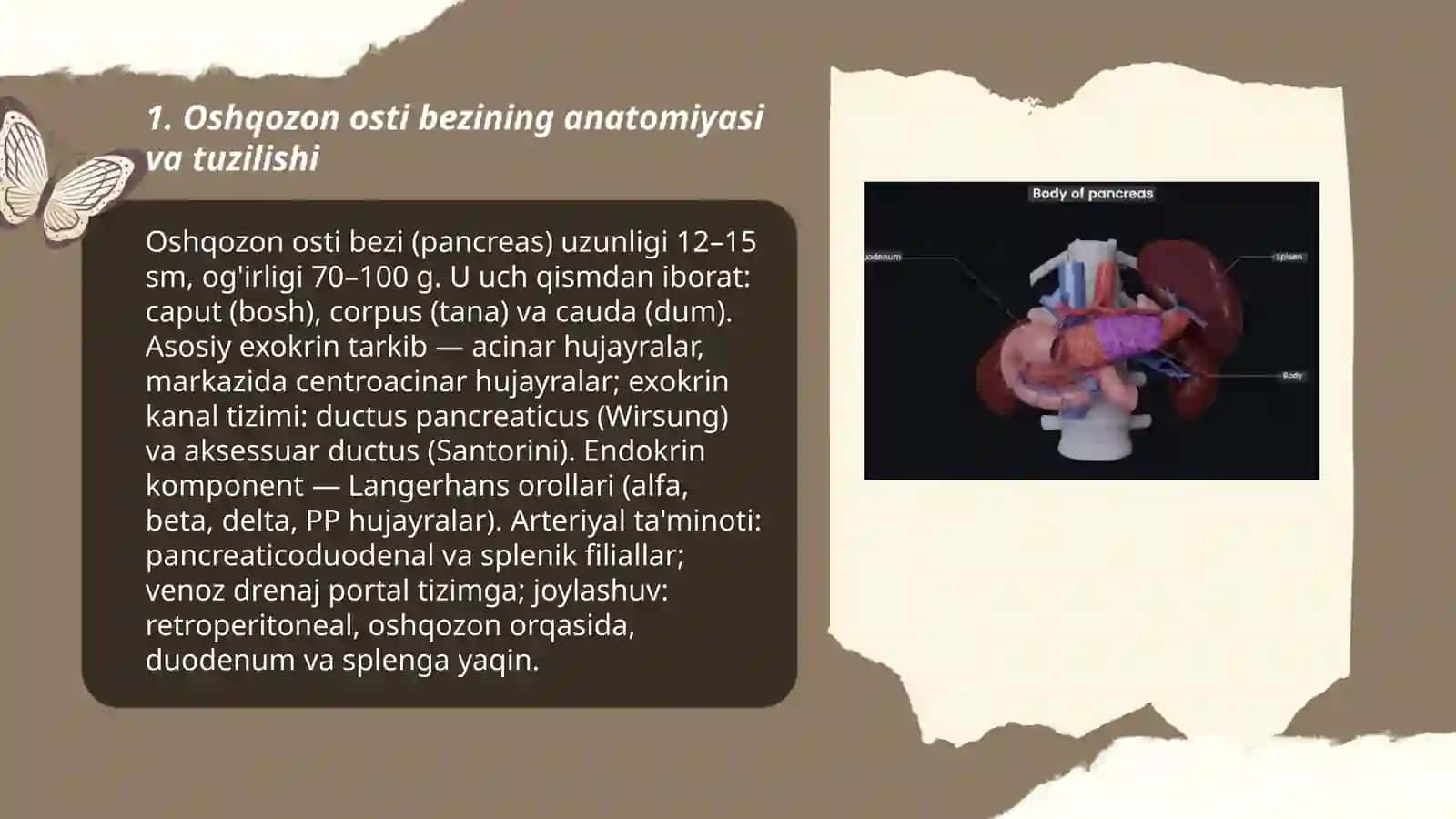 Oshqozon osti bezi va Jinsiy bezlar 3