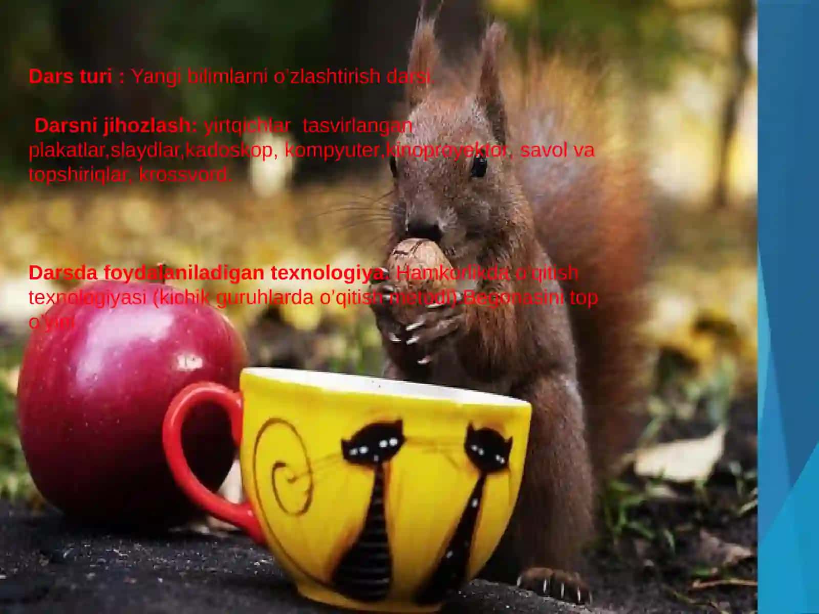 YIRTQICH SUTEMIZUVCHILAR TURKUMI 3