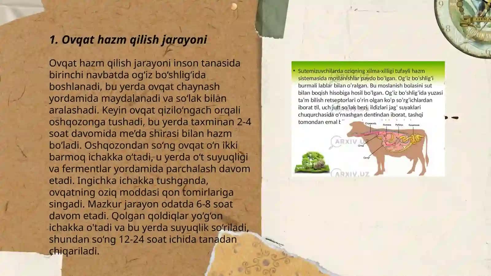 Ovqat hazm qilish sistemasi 3