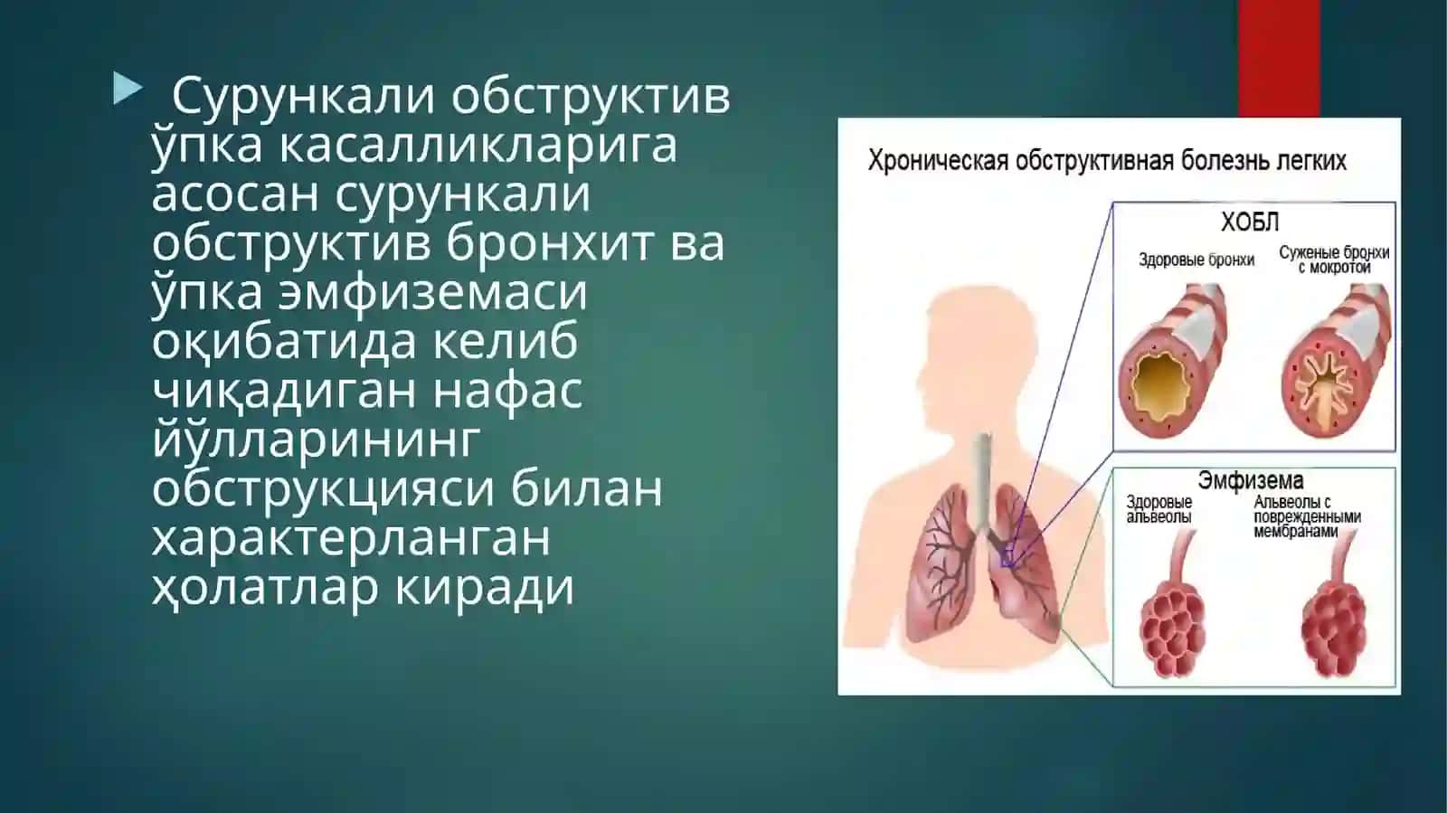 O'pka ning surunkali obstruktiv kasalliklari 3