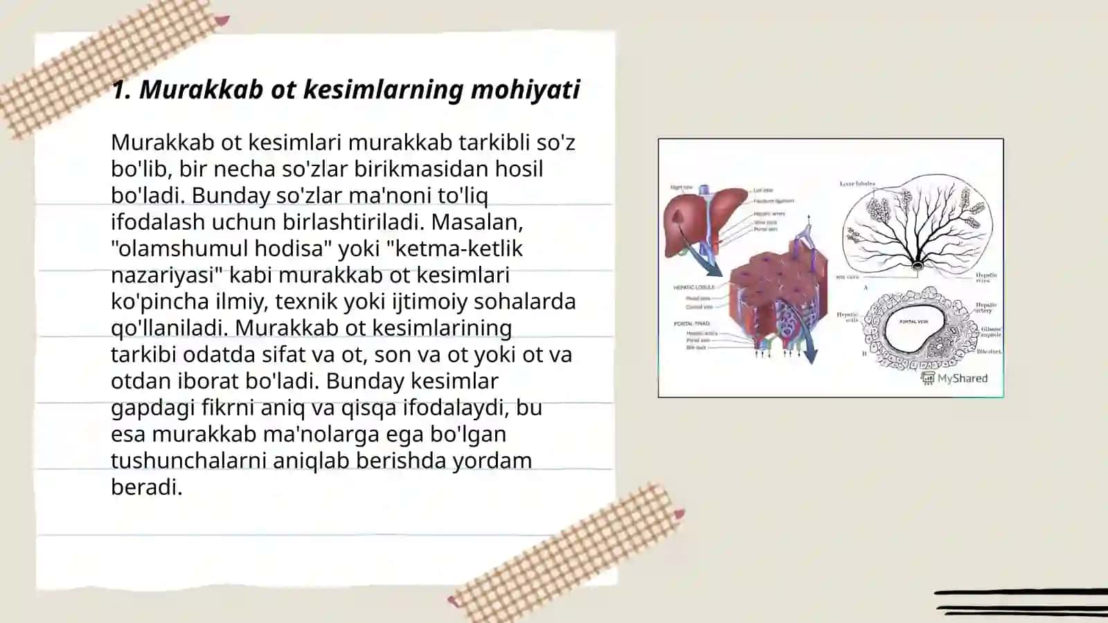 Murakkab ot kesimlarning tuzilishi 3
