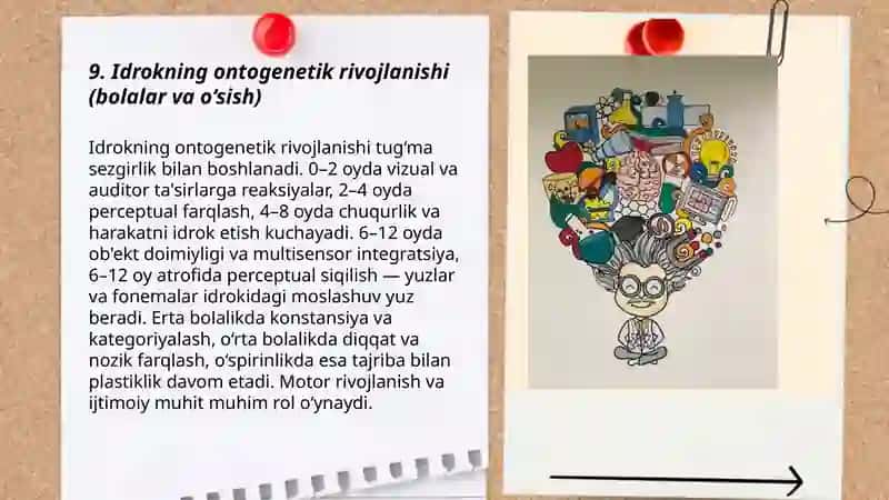 Idrokning ontogenetik rivojlanishi 3