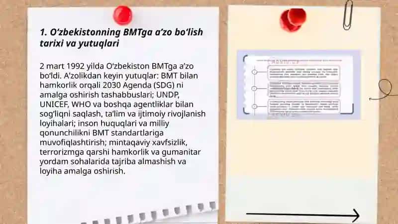 O'zbekistonning BMT bilan hamkorlik aloqalari 3