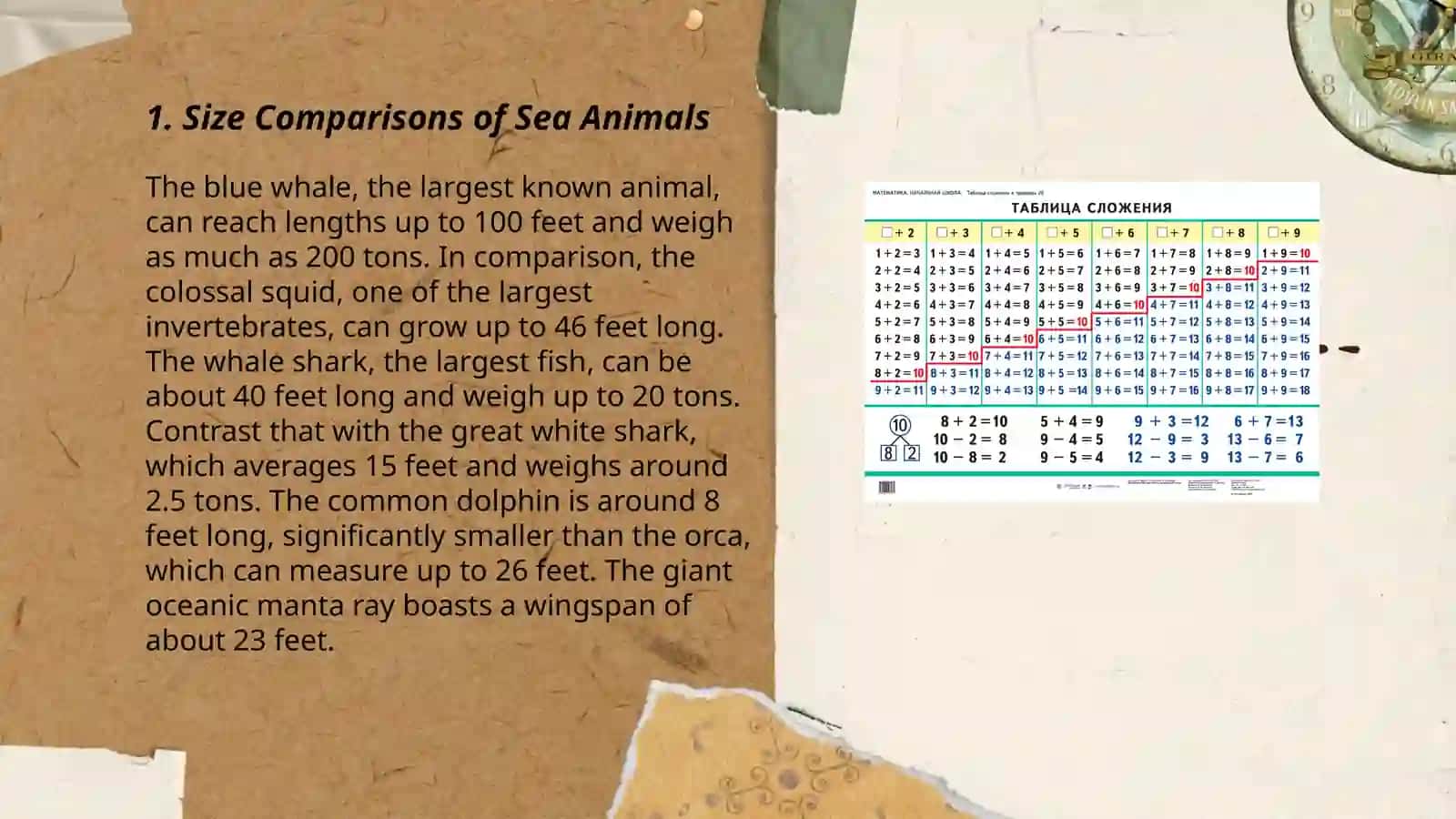 Size Comparisons of Sea Animals Demo Lesson 3