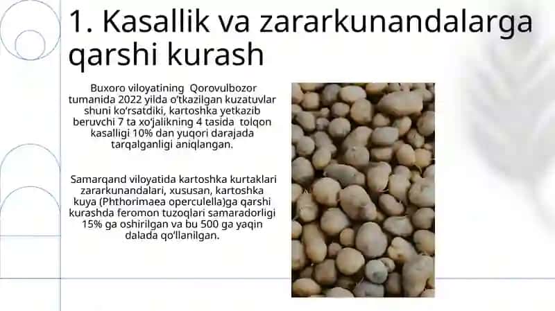 Kartoshka uruĝini õstirish 3