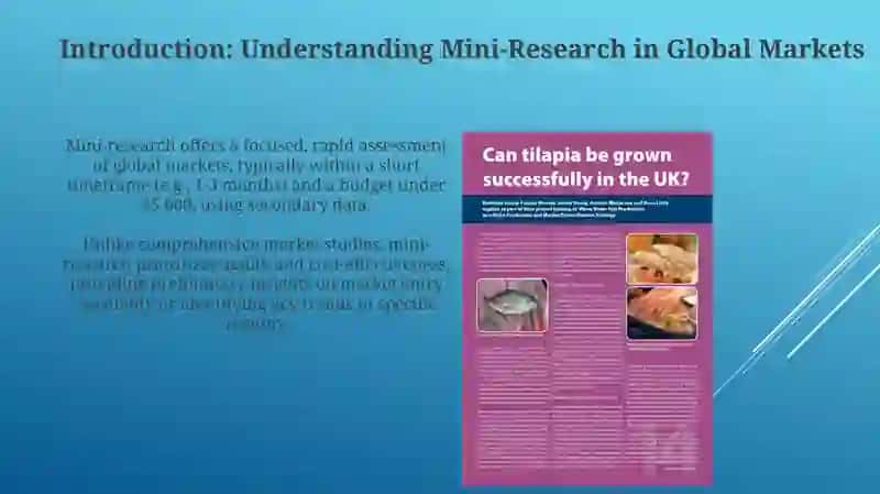 Conducting Mini-Research on Global Markets 3