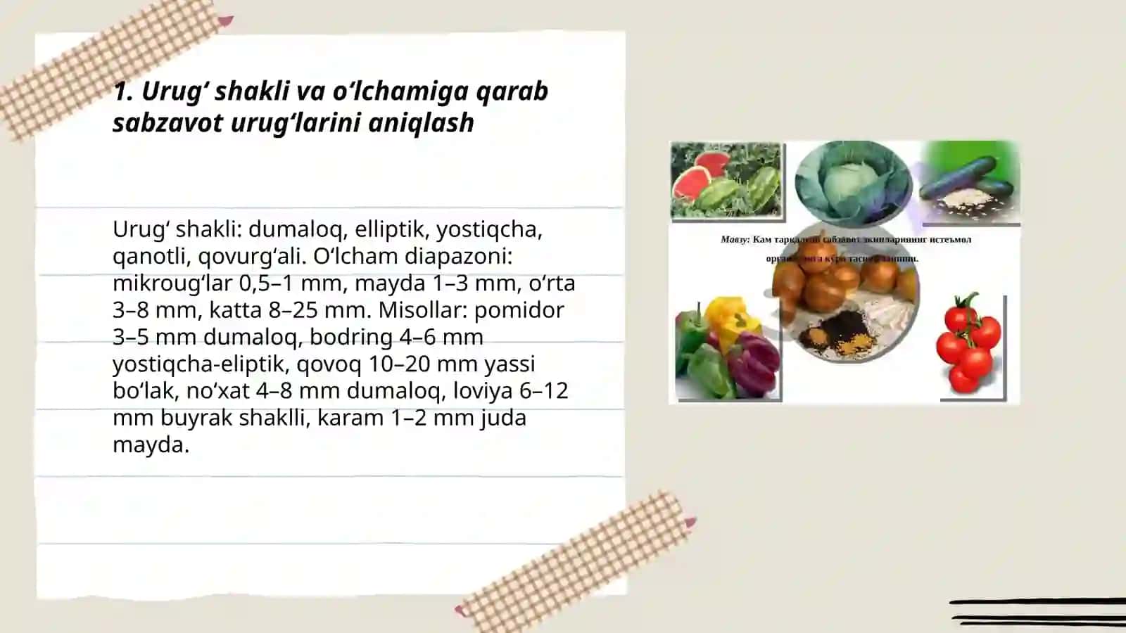 Sabzavot ekinlarini urugʻiga qarab aniqlash 3