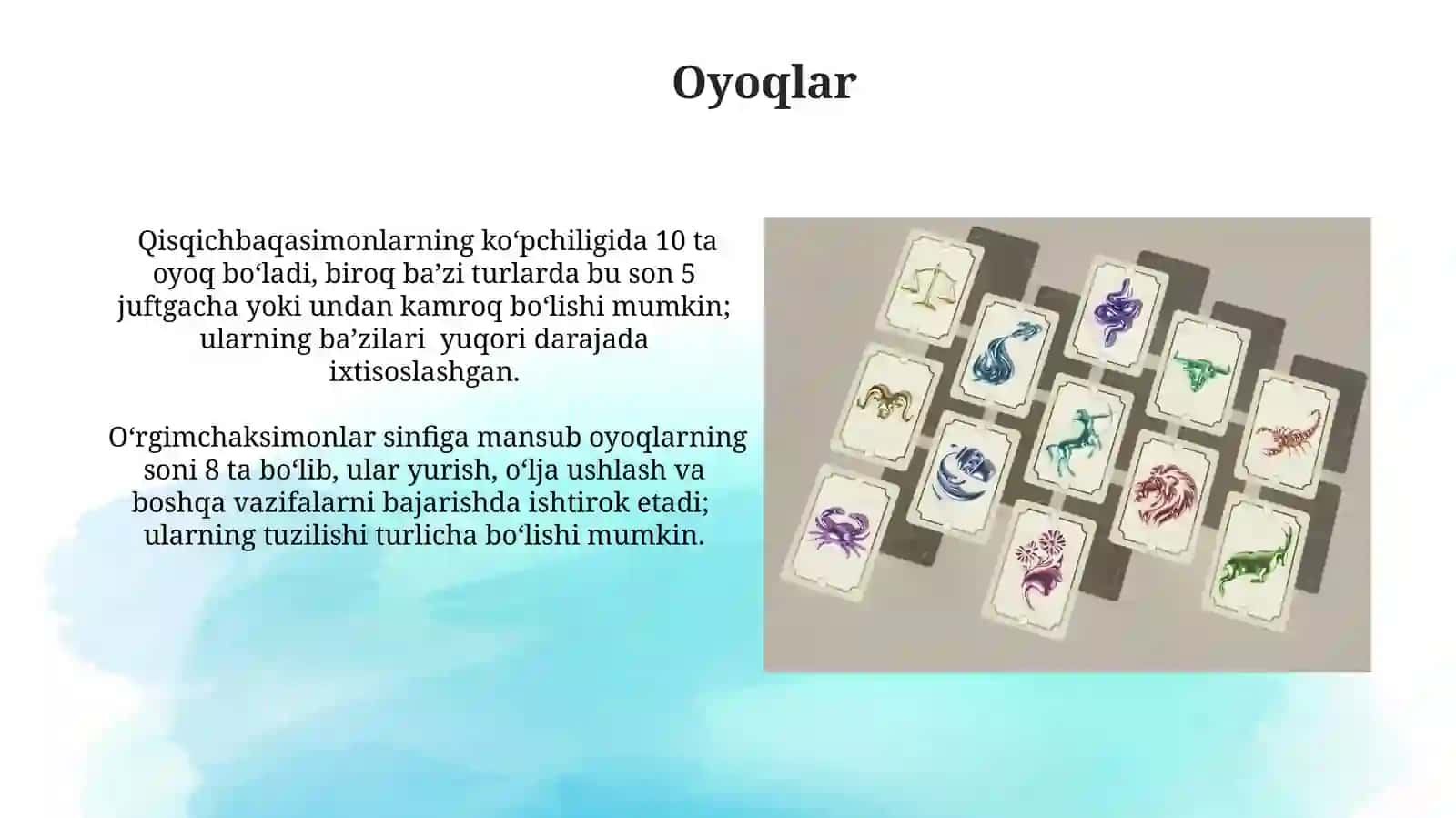 Bo'g'imoyoklilar klassifikasiyasi 3