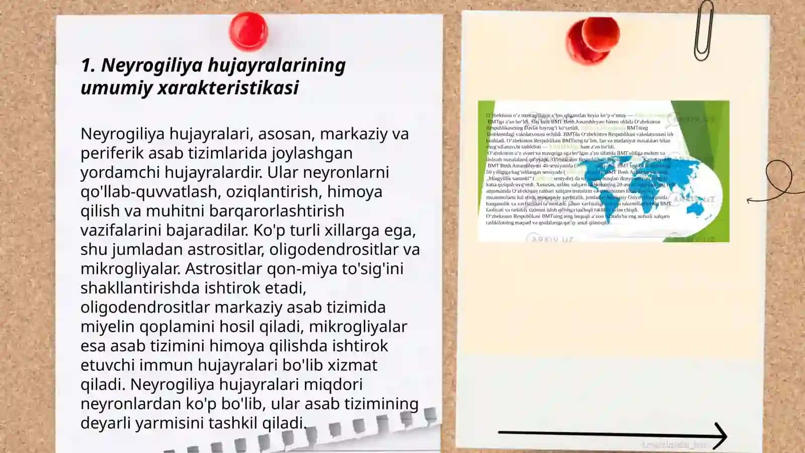 Neyrogiliya hujayralarining xillari va funksiyalari 3