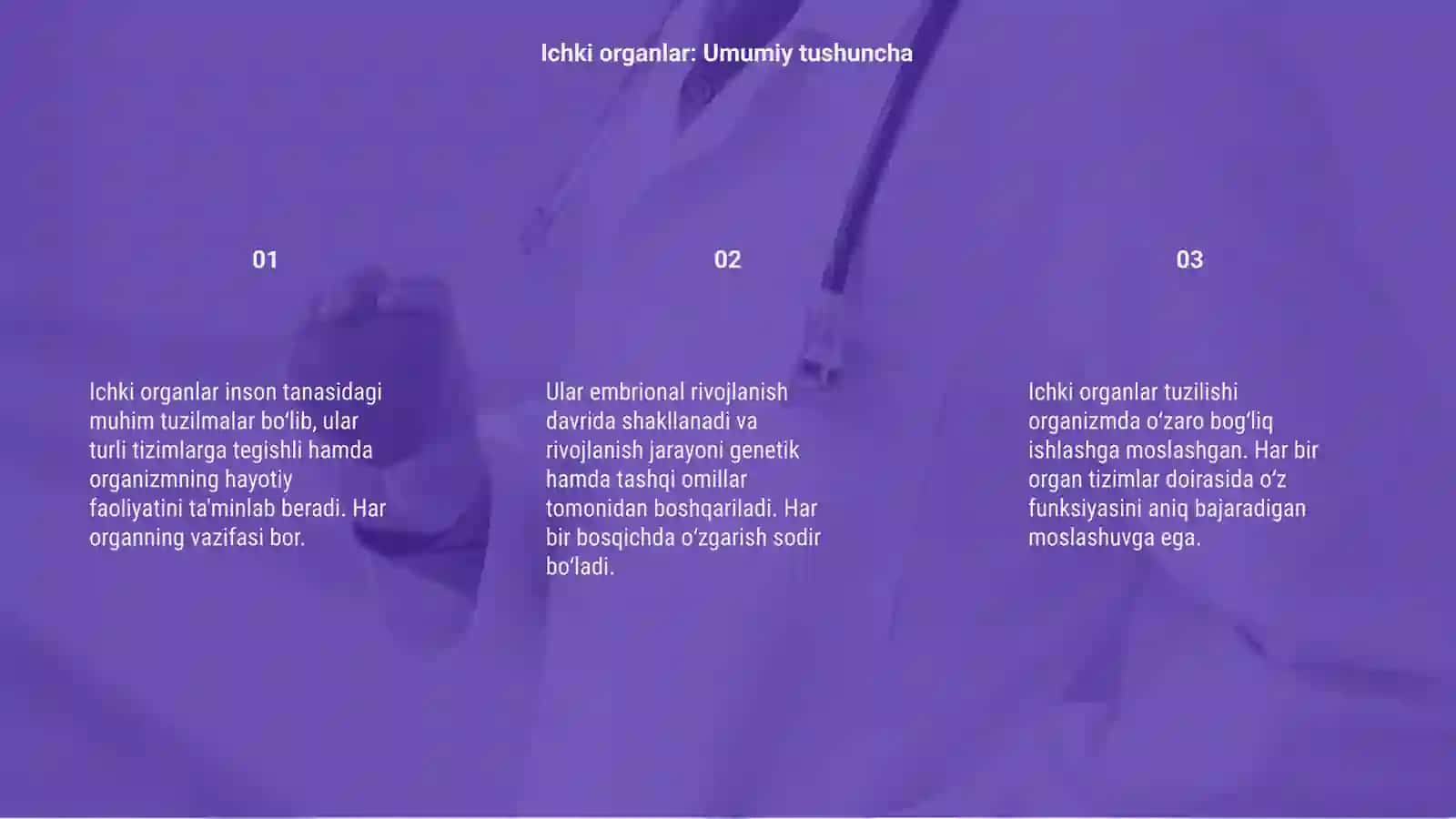 Ichki organlarni umumiy tavsifi 3