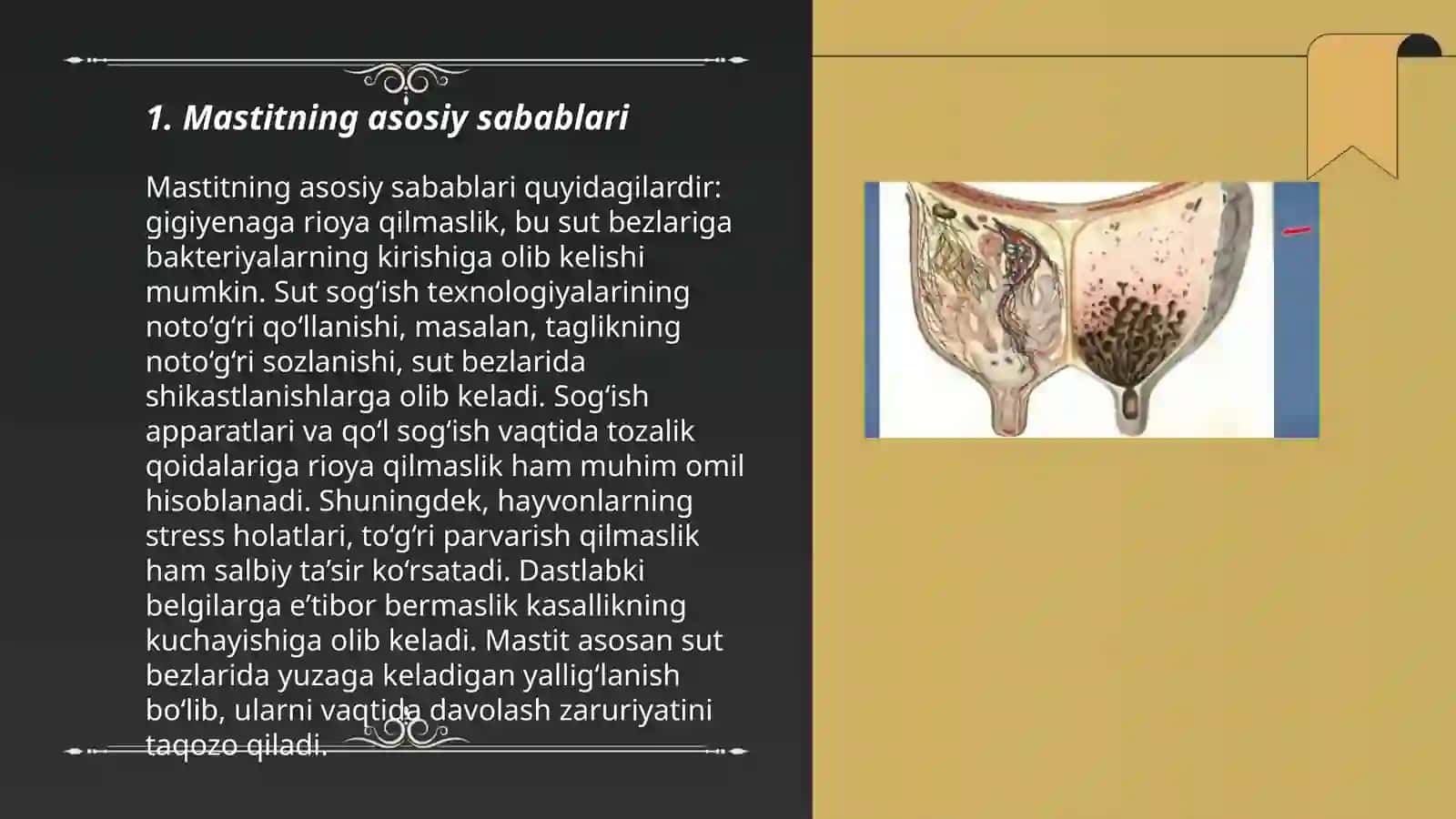 Mastit kasali qoramolarda 3