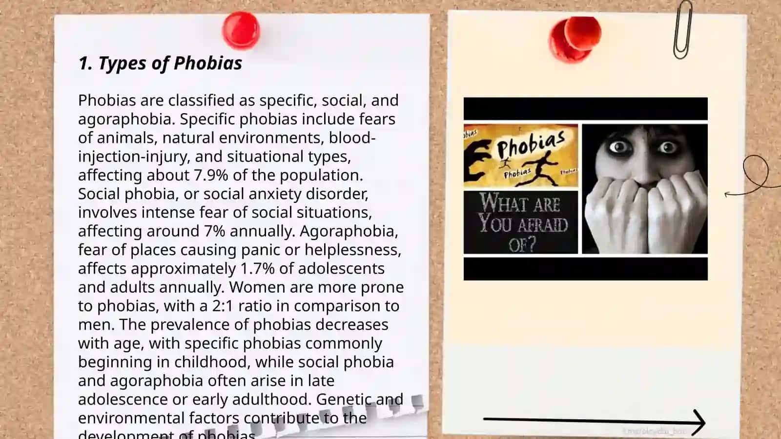 Fears and Phobias 3