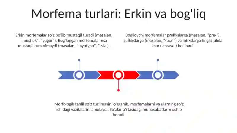 Morfologik tahlil 3
