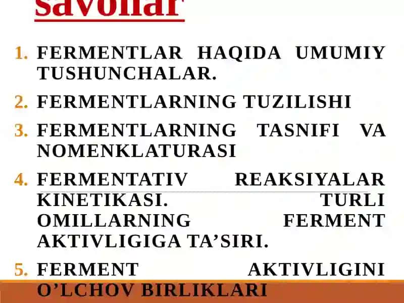 Fermentlar 3