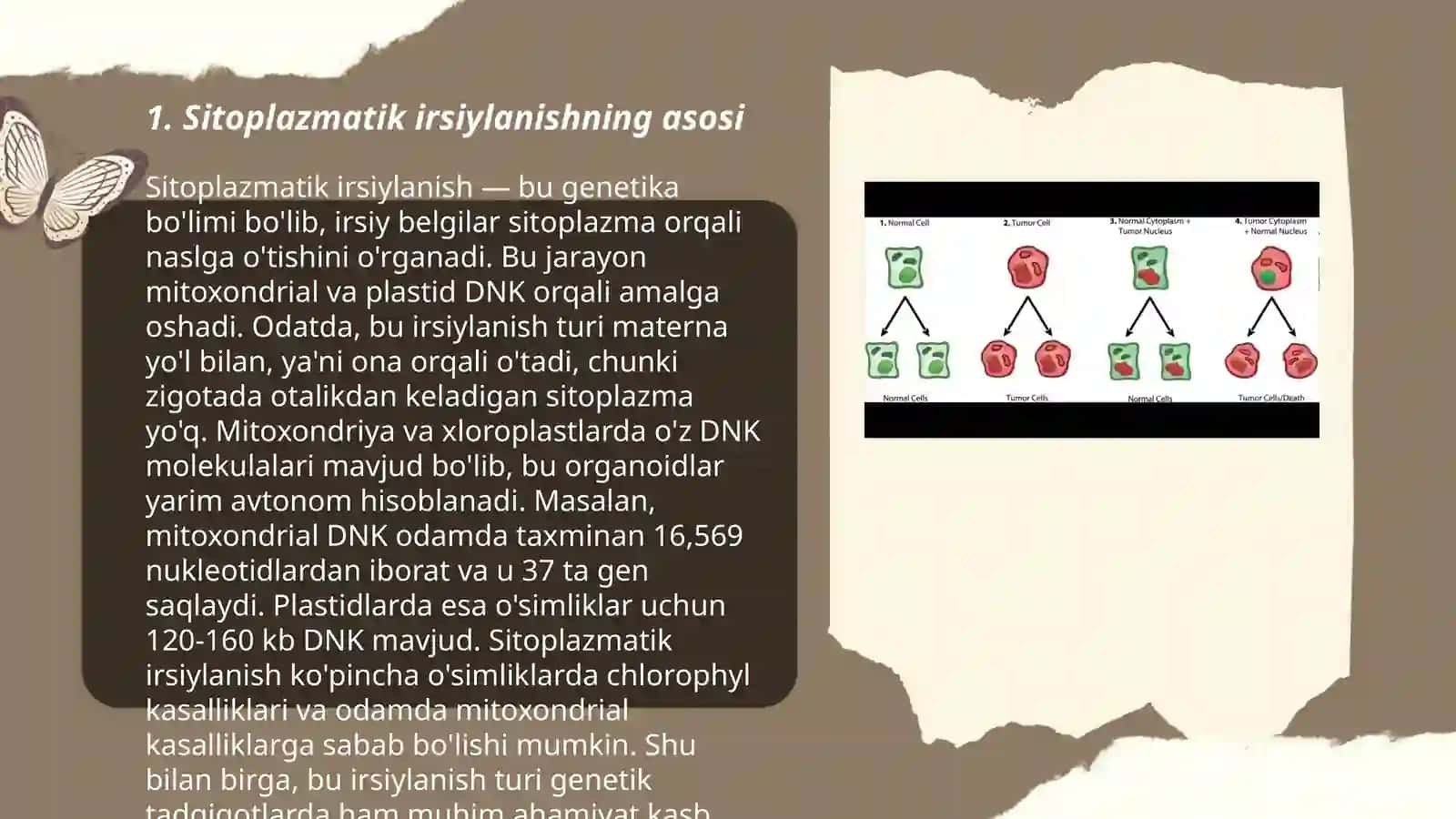 Sitoplazmatik irsiylanish 3