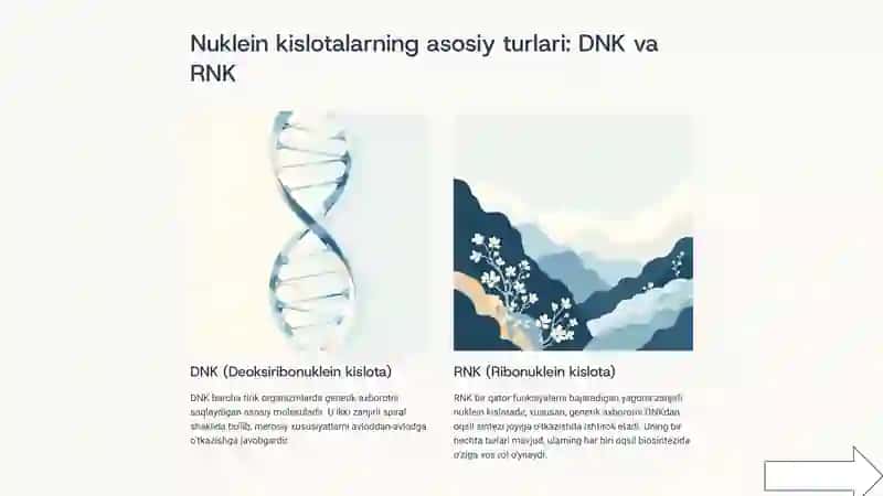 Oqsillarbiosintezidanukleinkislotalarning ahamiyati 3