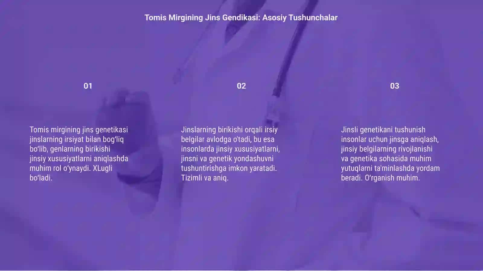 Tomis Mirgining Jins Gendikasi 3