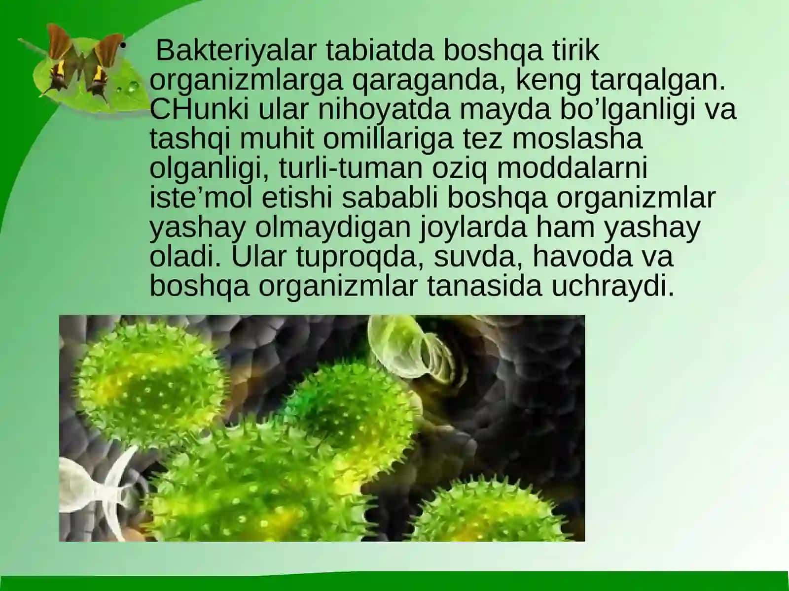 Mikroorganizmlarning biosferada gi`rni 3