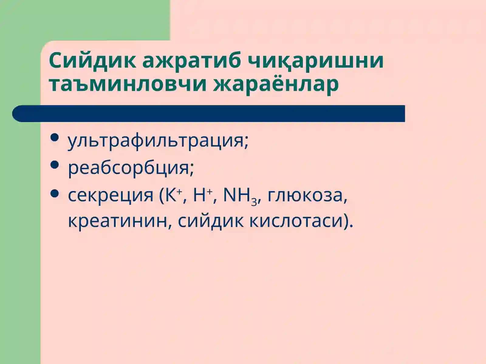 Буйраклар патофизиологияси 3