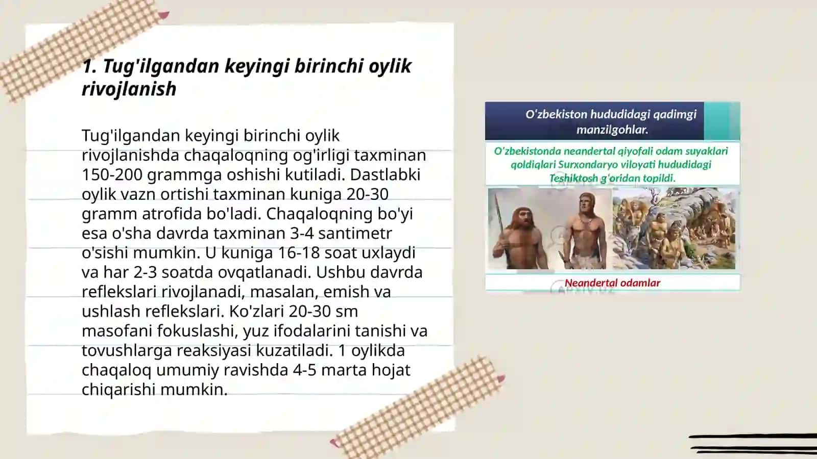 Postnatal ontogenezning asosiy davrlari 3