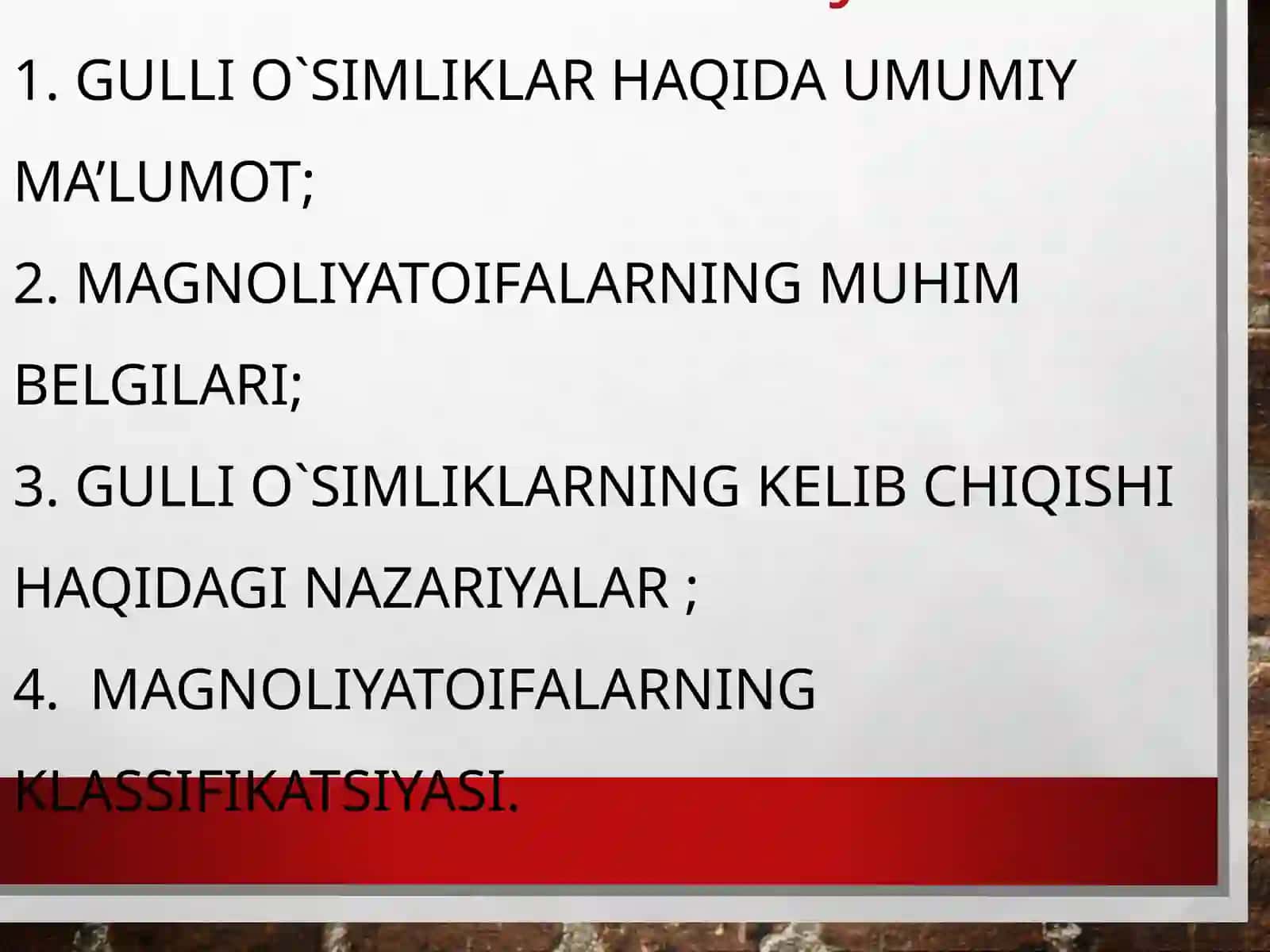 Gullio’simliklarning kelib chiqishi 3