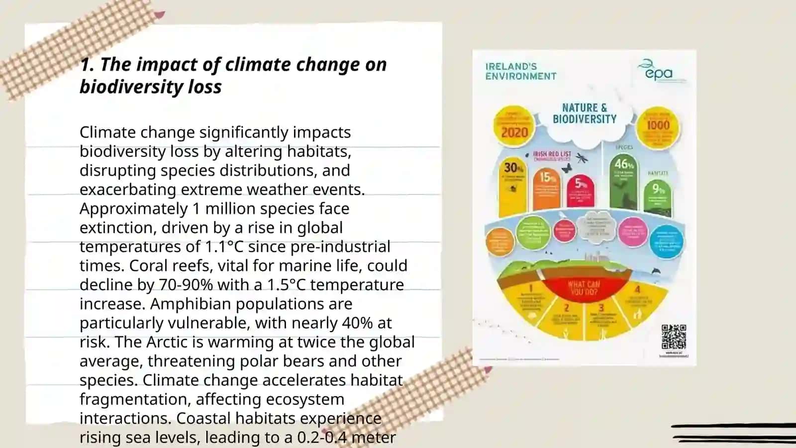 The effects of climate change and biodiversity essay 3