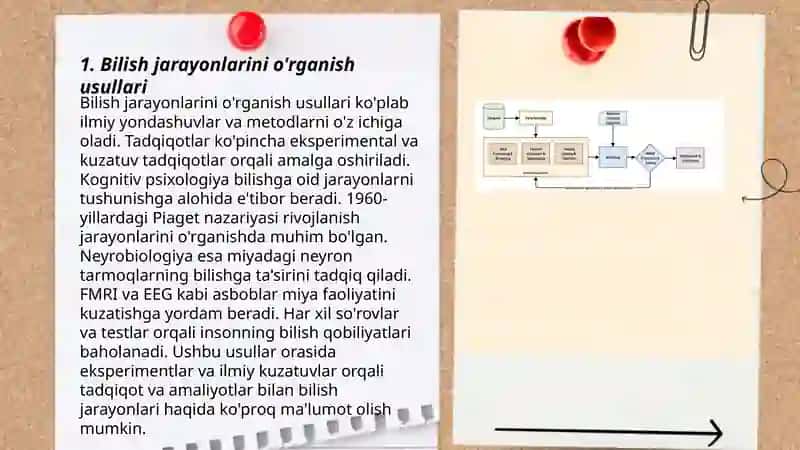 Bilish jarayonlar diagnostikasi 3