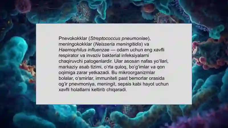 Pnevmokokk, meningokokklar, Haemophilus influenzae 3