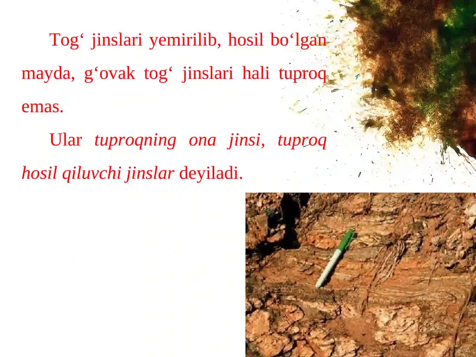 O’rta Osiyo tuproqlar haqida tushuncha 3