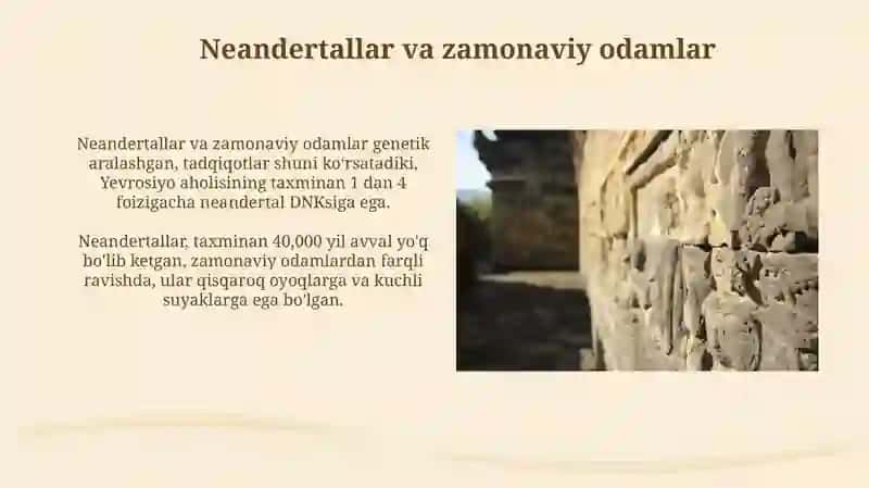 Mustye davriarxeologikyodgorliklari 3