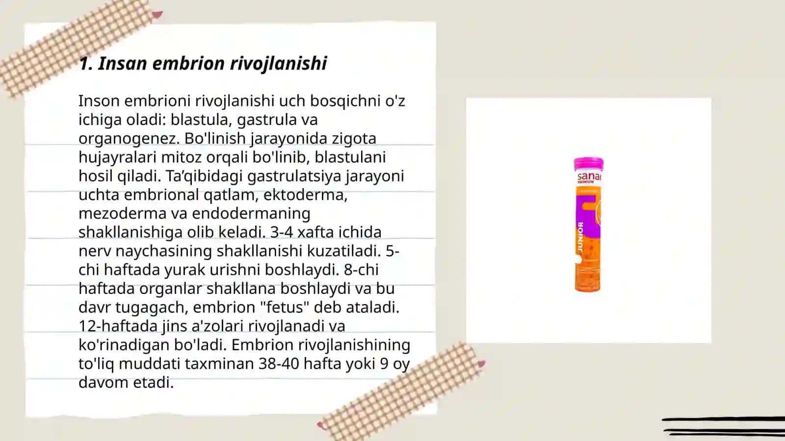 Insan sanasiniñ ontogenezi 3