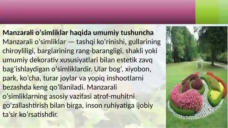 Manzarali o'simliklarning kelib chiqish markazlari 3