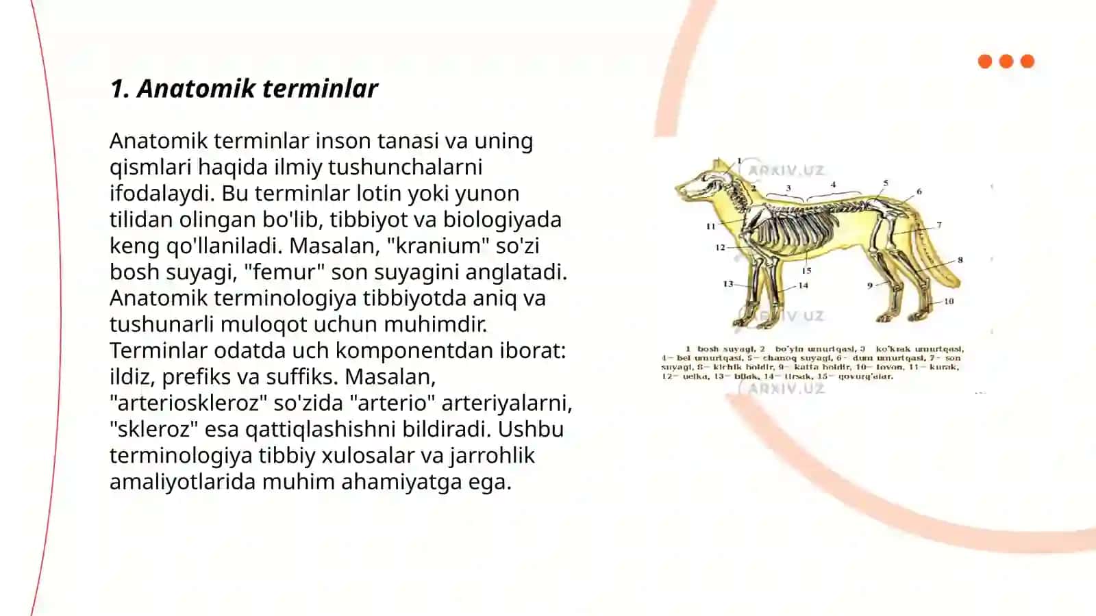 Tibbiyot Terminalogiyasida ishlatiladigan otlar 3