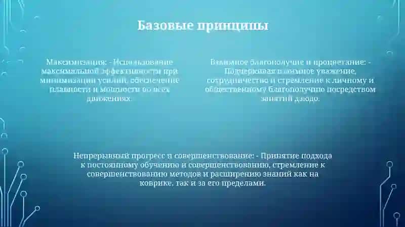 Дзюдо 3