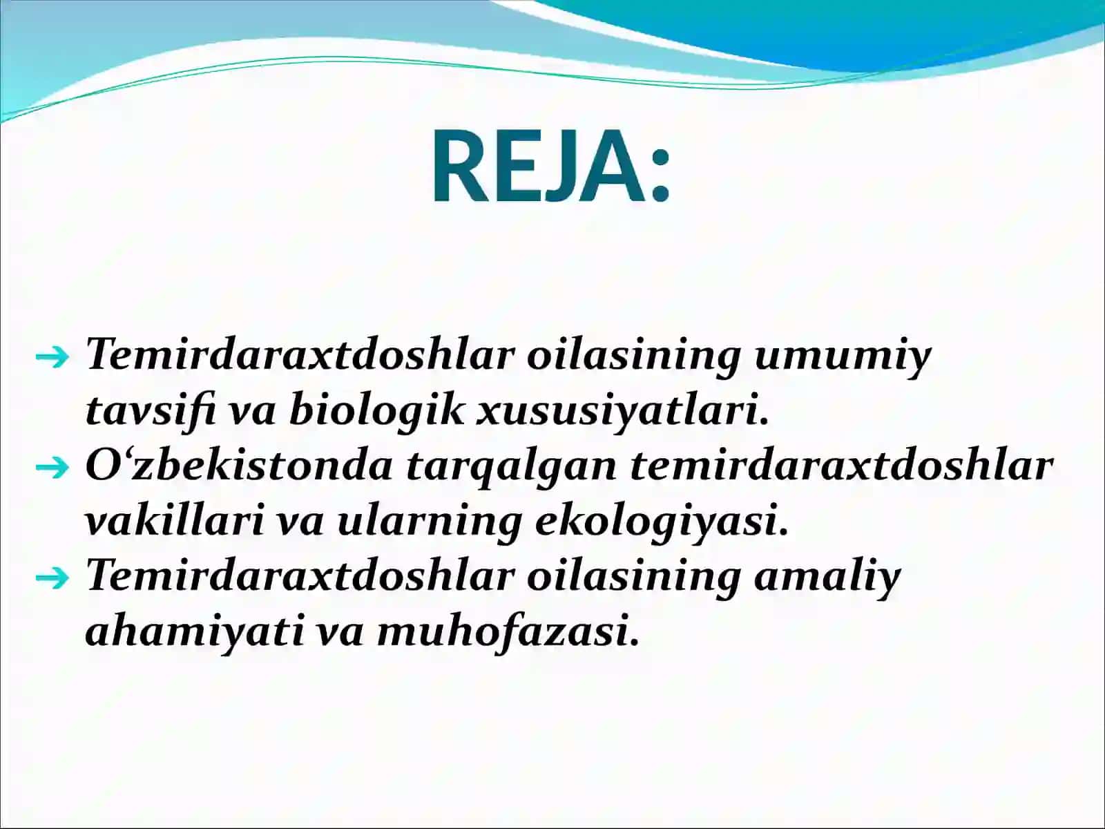 Temirdaraxtdoshlar oilasi 3