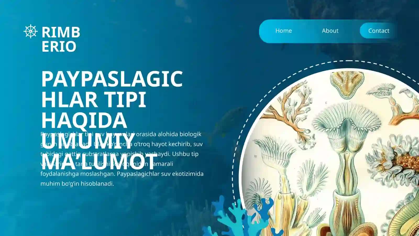 PAYPASLAGICHLAR TIPI (TENTACULATA) 3