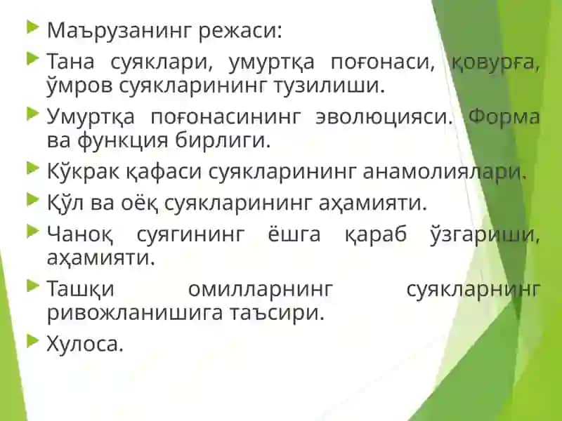Suyaklar tuzilishi va rivojlanishi 3