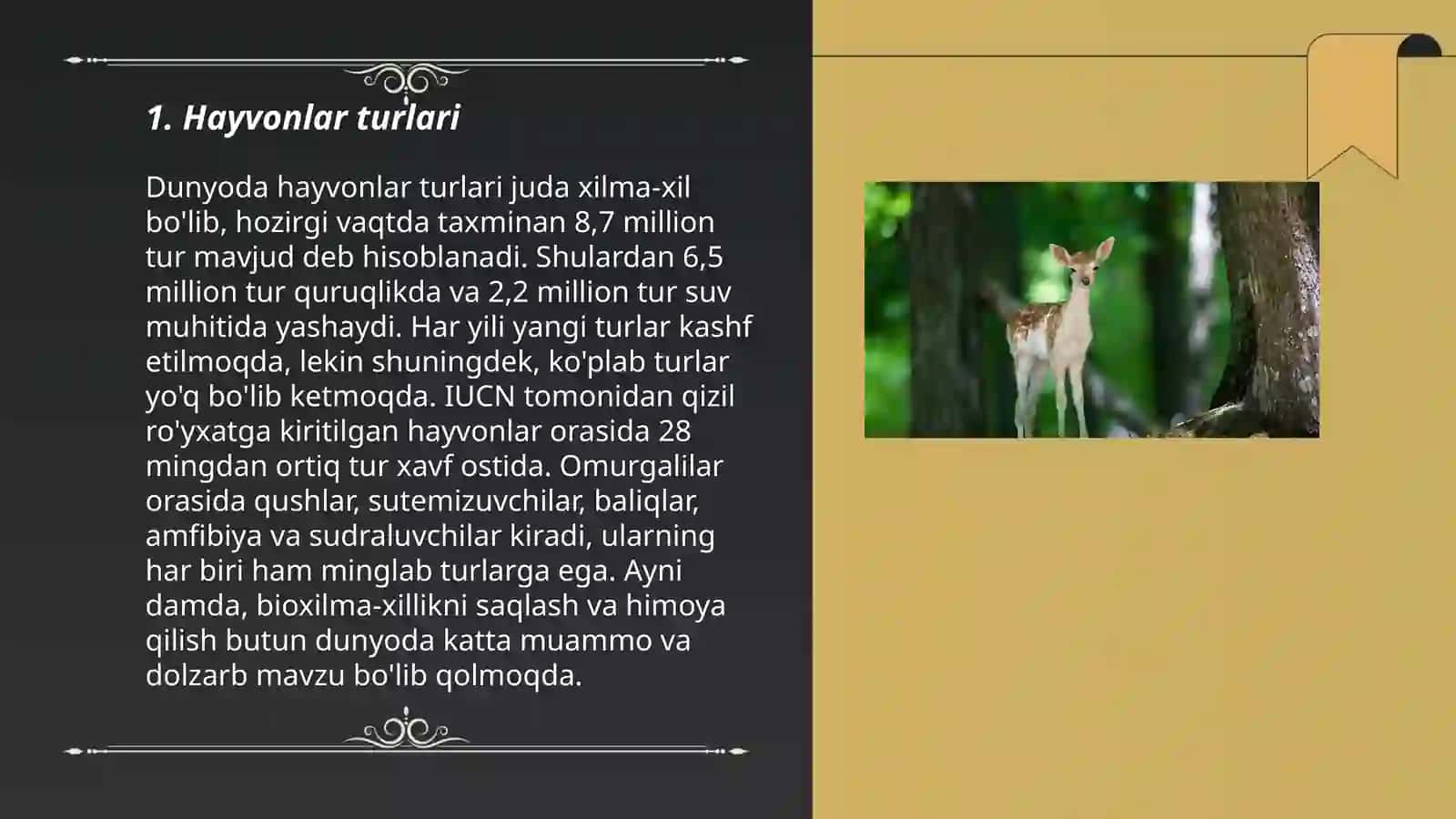 Hayvonlar turlari 3