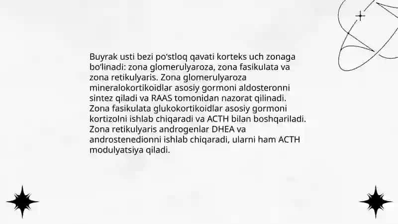 Buyrak usti bezi poʻstloq qavati gormonlari 3