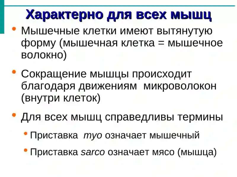 Общая миология 3