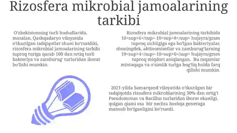 Rizosfera mikroflorasini aniqlash 3