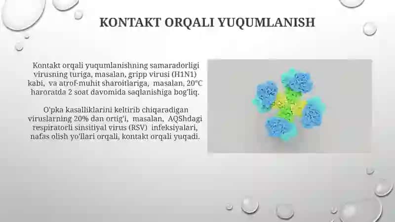 Viruslarning yuqish yo’llarini o’rganish 3