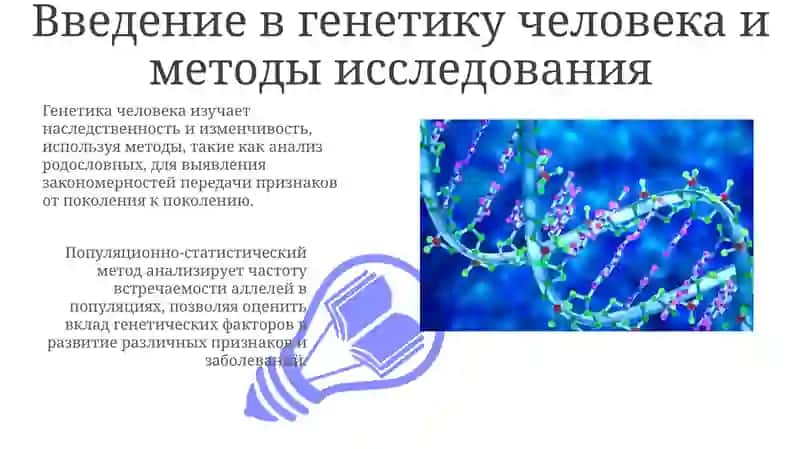 Методы изучения генетики человека: Обзор 3